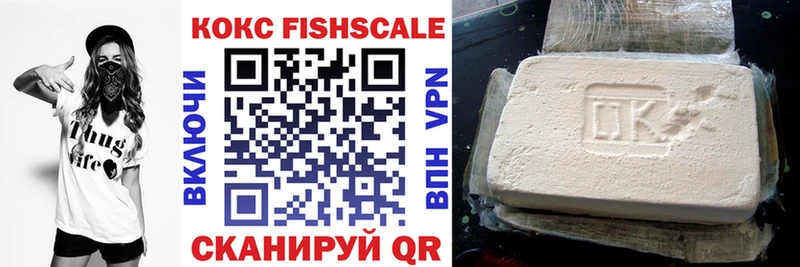 Кокаин Fish Scale  Купить  Невель 